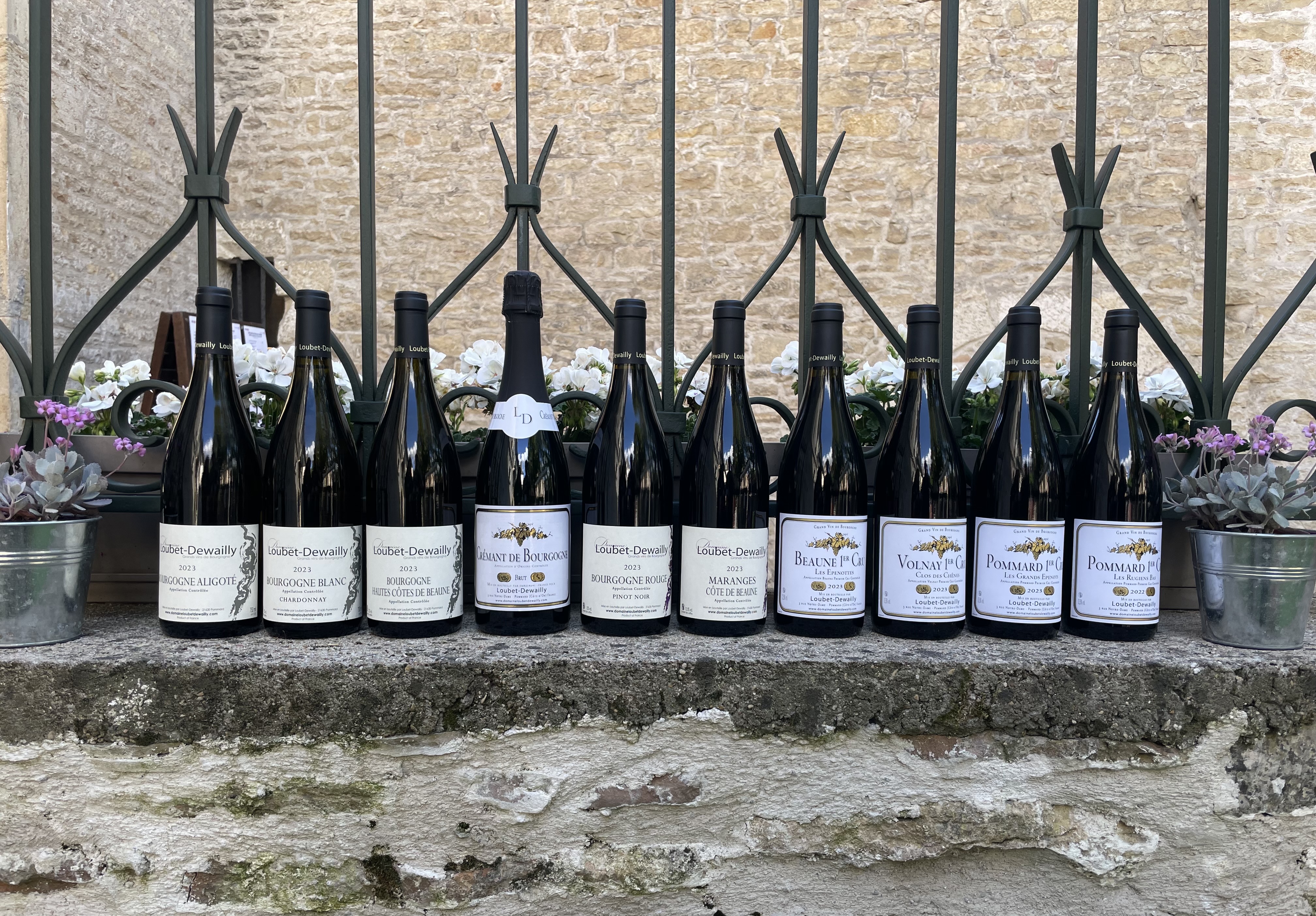 Verres de dégustation